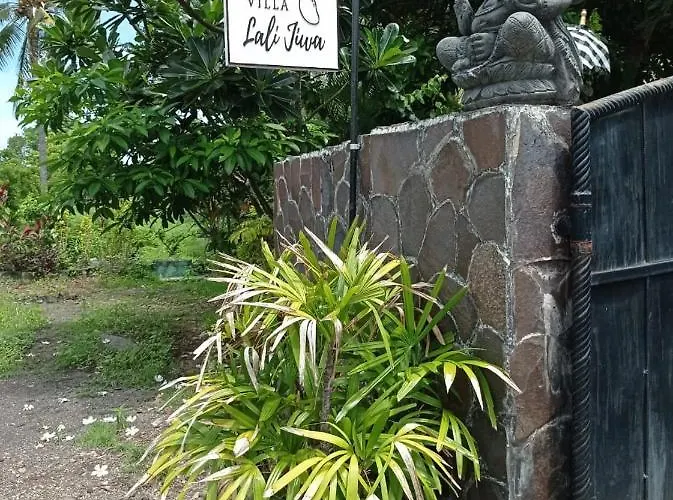 Absolute Beachfront Private Sleeps 6 With Infinity Pool On 1200m2 Of Tropical Land *
