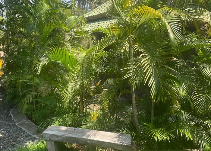 Absolute Beachfront Private Sleeps 6 With Infinity Pool On 1200m2 Of Tropical Land Villa *